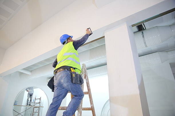 Best Fire-Damaged Drywall Repair  in Van Buren, MO